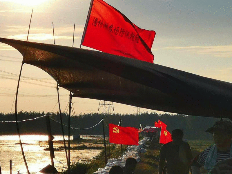 向水而行 筑牢“芳华堤坝”——安徽农垦团员青年防汛抗洪、抢险救灾纪实