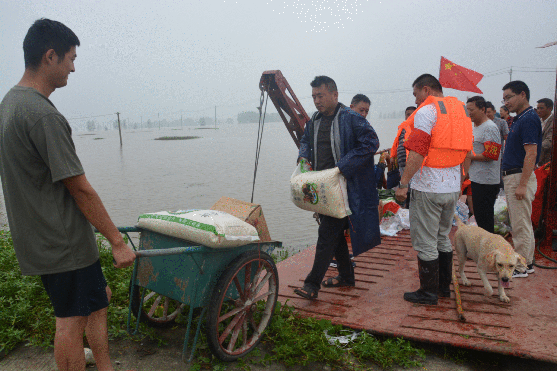 向水而行 筑牢“芳华堤坝”——安徽农垦团员青年防汛抗洪、抢险救灾纪实
