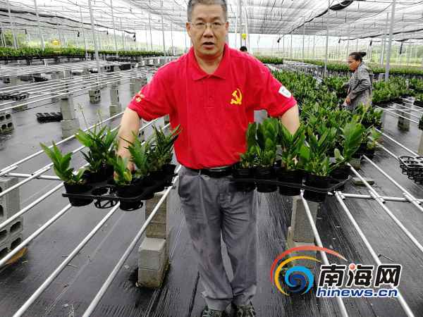 2020年全国脱贫攻坚奖初评名单公示 海南4人1单元入围