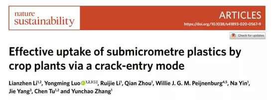 菜里有“毒”：研究展现作物接收微塑料通道与机制