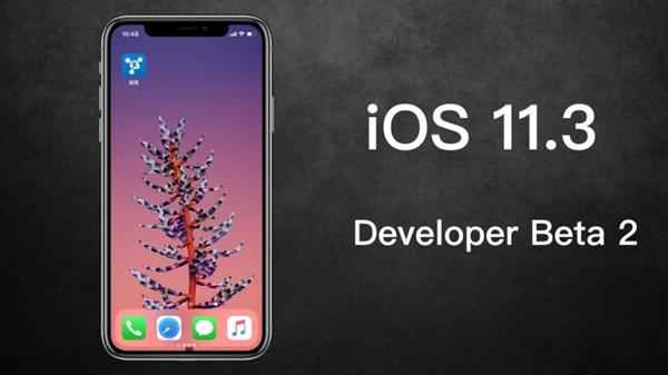 苹果宣布iOS 11.3新测试版：可以手动降频了