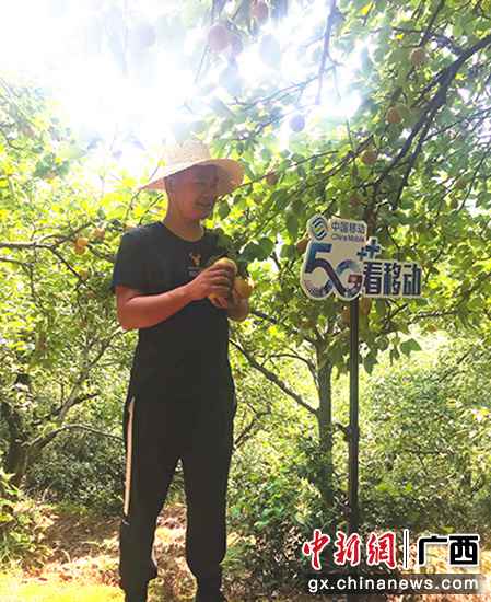 桂林移动“一张网”为消费扶贫添“助力”