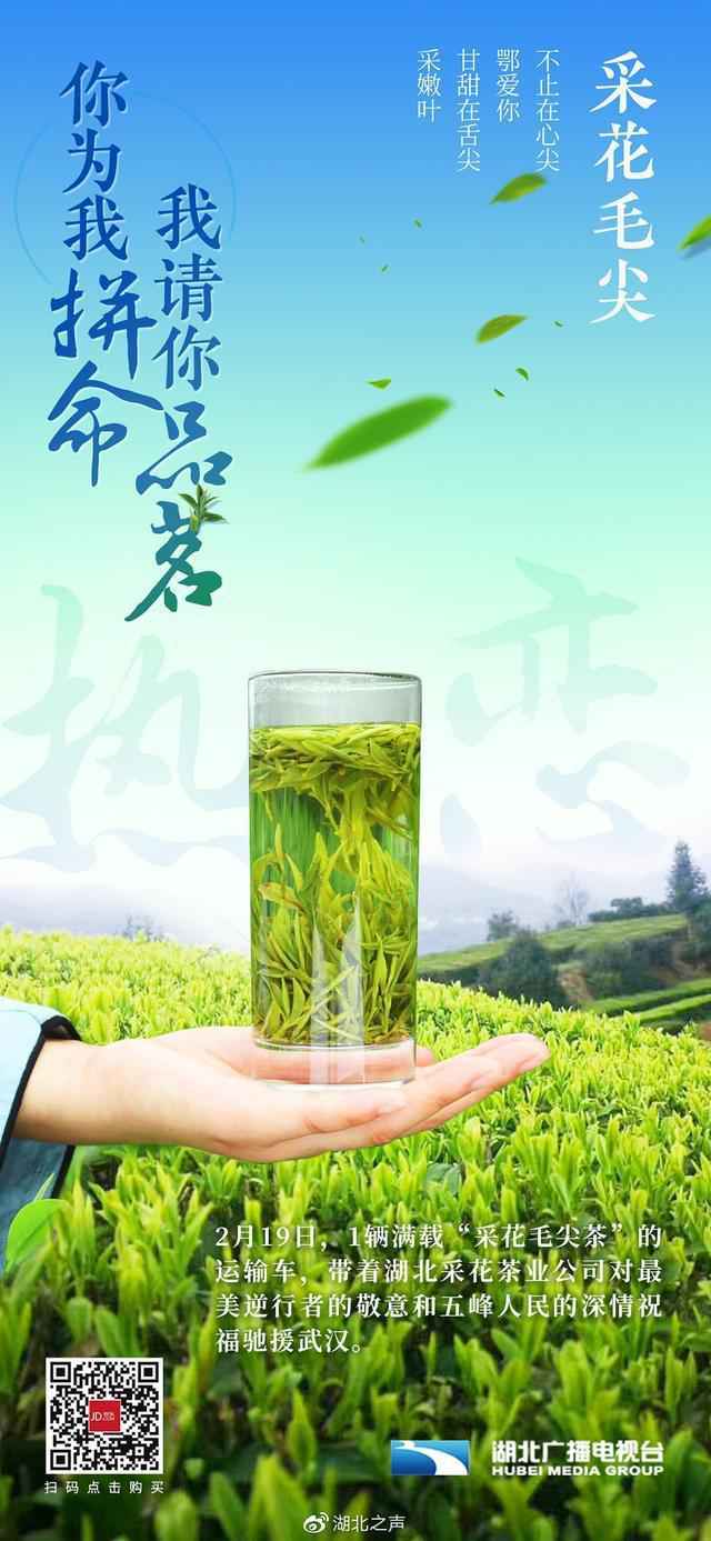 “鄂”有好茶|6万份五峰爱心春茶送亲人……