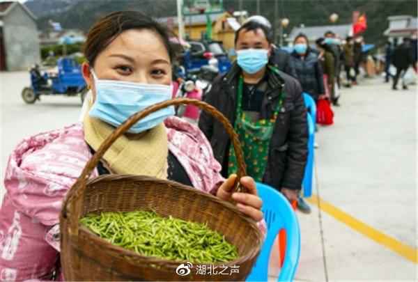 “鄂”有好茶|6万份五峰爱心春茶送亲人……