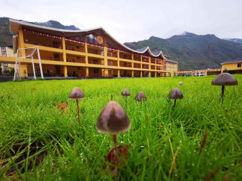 广东老师云南支教石阶刻上千汉字帮傈僳族孩子进修，称遗憾没刻完