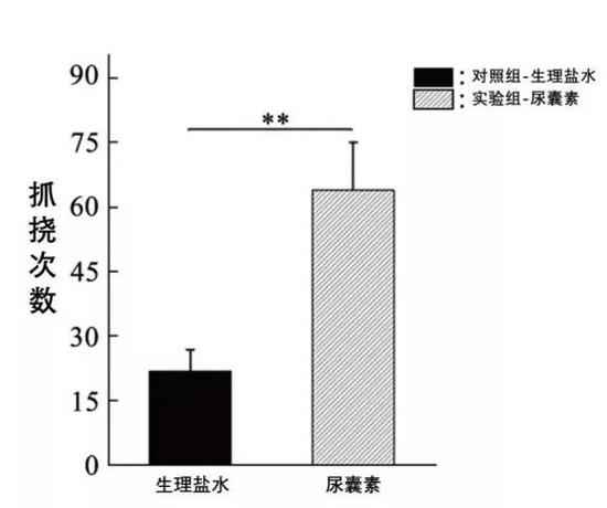 给山药削皮手会痒？只因为你少了这个操纵