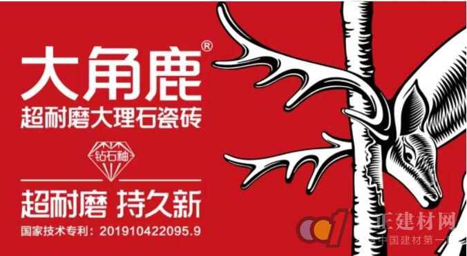  金华项志余为何选择大角鹿？