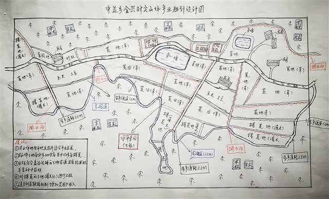 芳华在脱贫攻坚一线绽放 ——记4位巴渝青年的“乡土芳华”