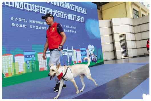 【社会管理】深圳10区共256个打针点可为犬只植入芯片