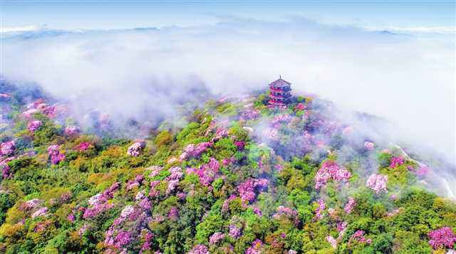 区县文旅佳构荟南川篇|金佛山 福南川