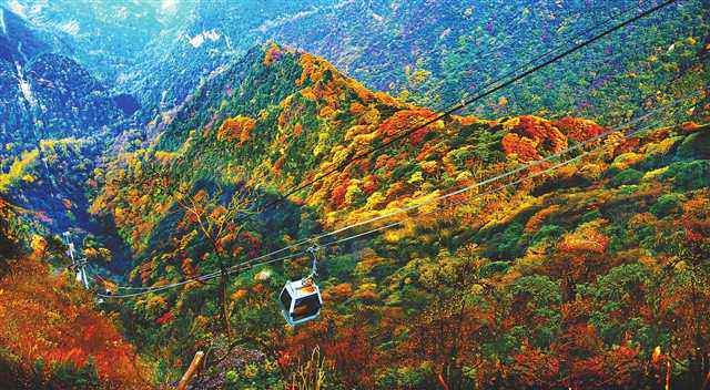 区县文旅佳构荟南川篇|金佛山 福南川