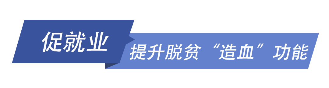 战“疫”中，习近平总书记始终牵挂艰难群众