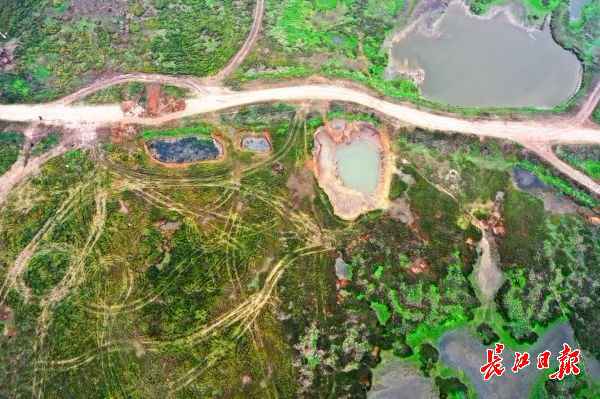 无人机下的都市绿肺