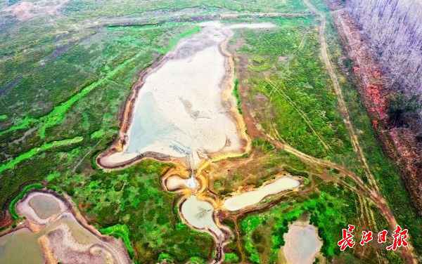 无人机下的都市绿肺