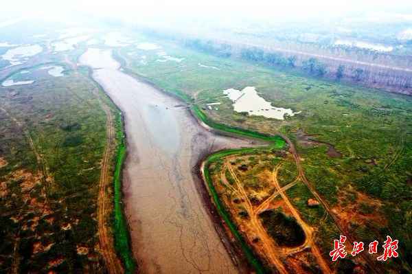 无人机下的都市绿肺