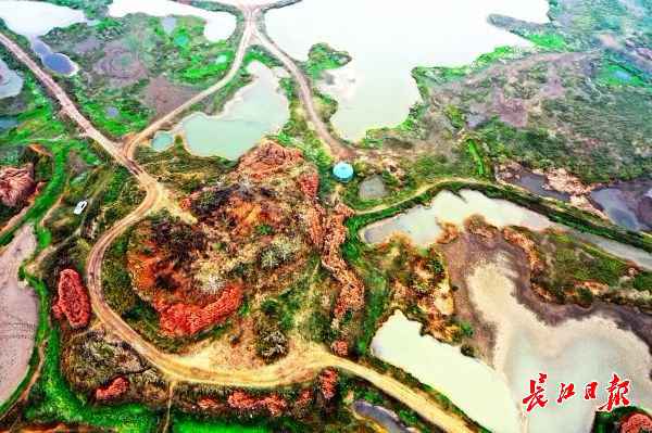 无人机下的都市绿肺