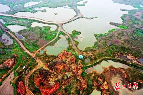 无人机下的都市绿肺