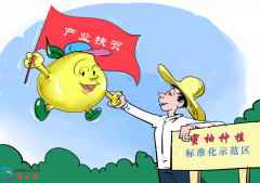 【地评线】南边漫评：财富就业“双管齐下”，