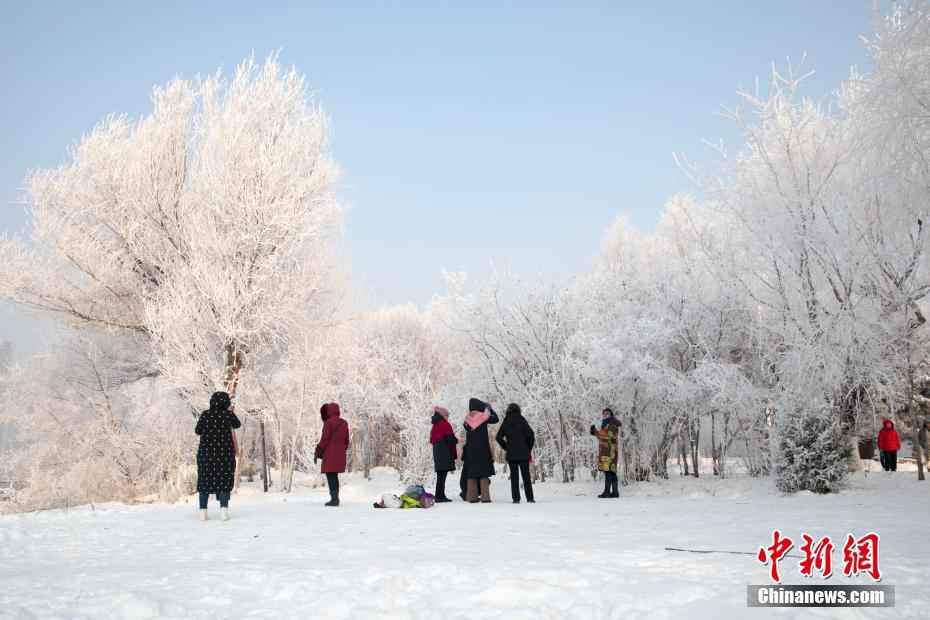 有点美 吉林松花江畔频现玉树琼花