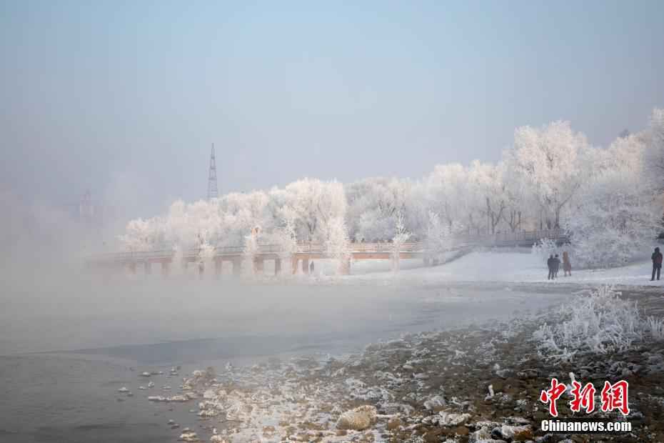 有点美 吉林松花江畔频现玉树琼花