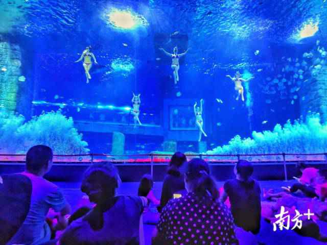 南边拍客看广东|一周精选 湾区赏红月