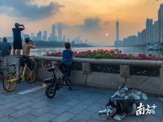 南边拍客看广东|一周精选 湾区赏红月