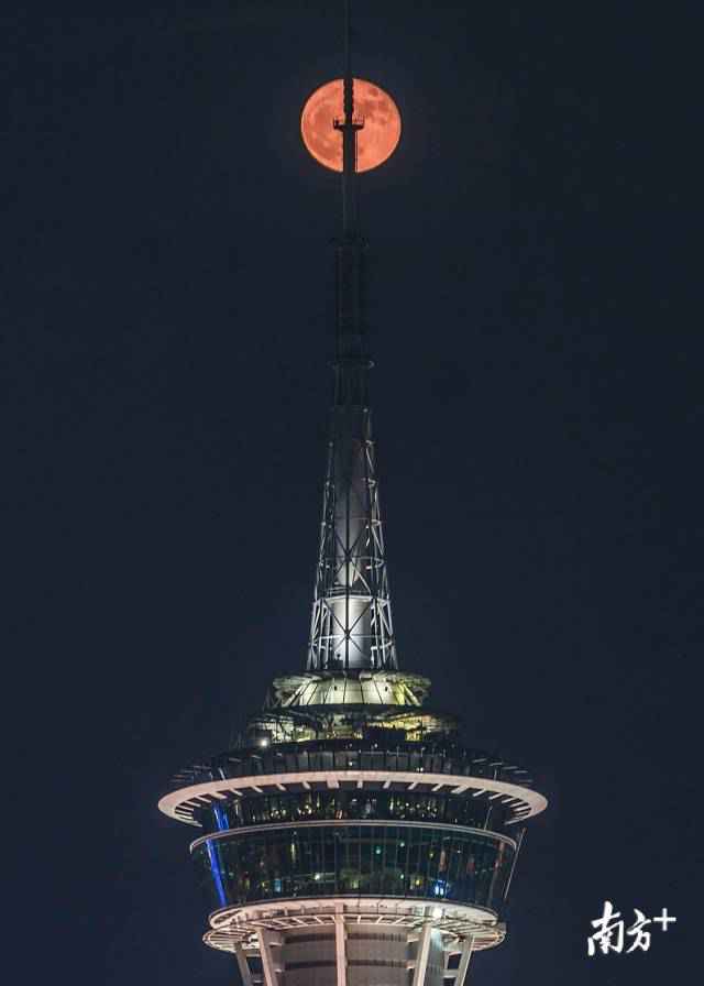 南边拍客看广东|一周精选 湾区赏红月