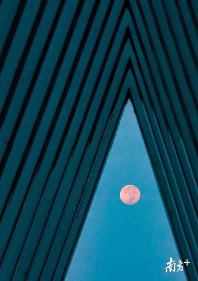 南边拍客看广东|一周精选 湾区赏红月