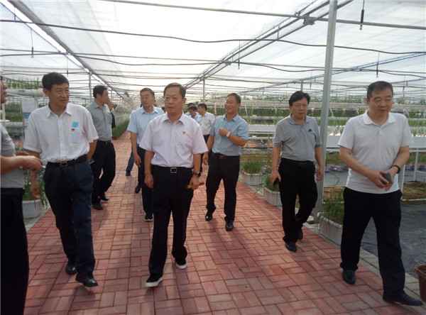 郑州工程技术学院借助优势构建村落振兴新模式