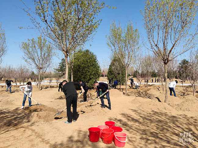 时政新闻眼丨又是一年植树时，习近平表达的这些信息差别寻常