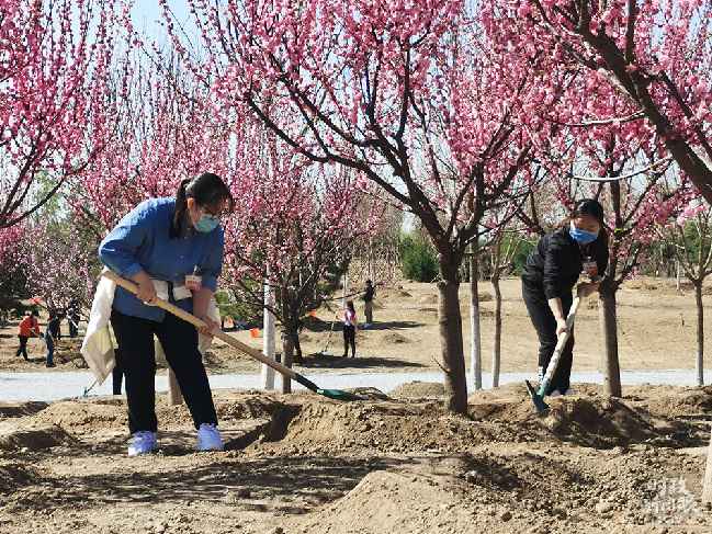 时政新闻眼丨又是一年植树时，习近平表达的这些信息差别寻常