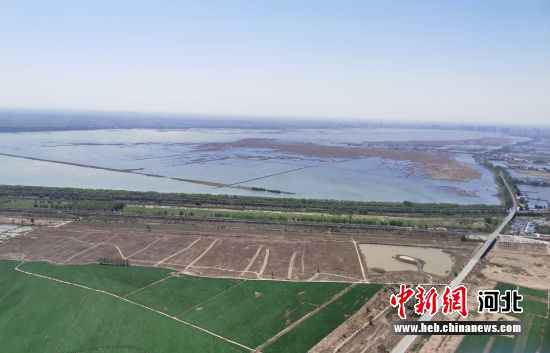 河北衡水将开通空中旅游线路 明确“京津冀最美湿地”奇特魅力——中国新闻网河北