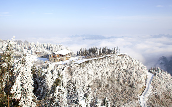 重庆农旅融合一连升温，就靠这几招！