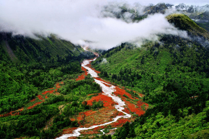 成渝CP 辣么甜me⑤|周末不打烊！黑山谷&海螺沟门票今天免费开抢！