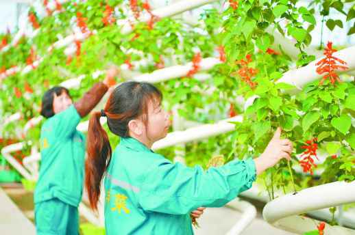 新中国创立70年来 湖南“三农”大业展宏图