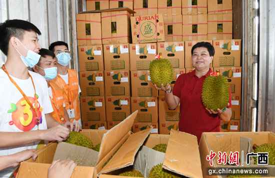 东盟水果凭祥直发 江楠鲜品东盟水果凭祥电商节举办