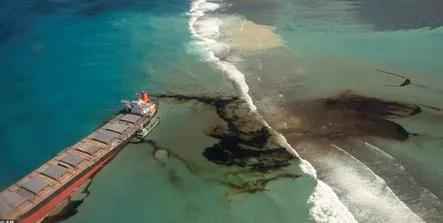 毛里求斯超1000吨燃油泄露，公众争相捐头发拯救蓝海