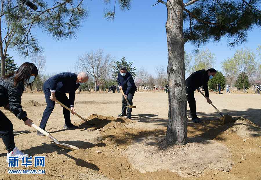 习近平在参与首都义务植树勾当时强调 巩固树立绿水青山就是金山银山理念 打造青山常在绿水长流气氛常新锦绣中国