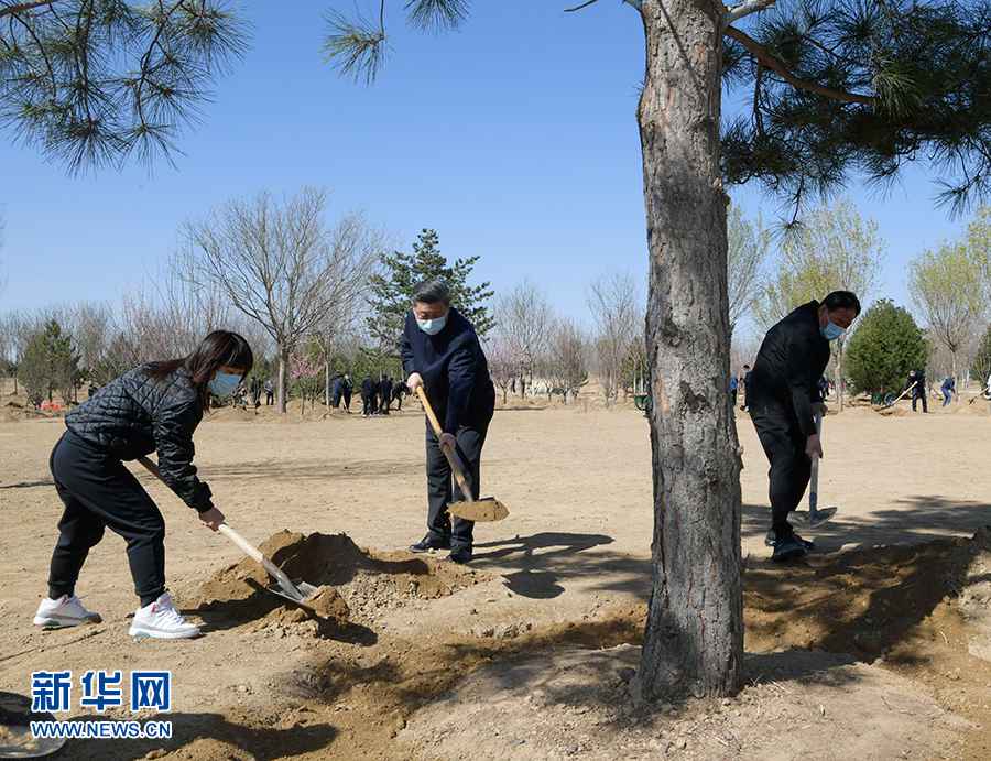 习近平在参与首都义务植树勾当时强调 巩固树立绿水青山就是金山银山理念 打造青山常在绿水长流气氛常新锦绣中国