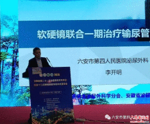 六安市四院泌尿外科省年会上展风范