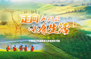 舒兰市供电开展冬季防火安详宣传勾当