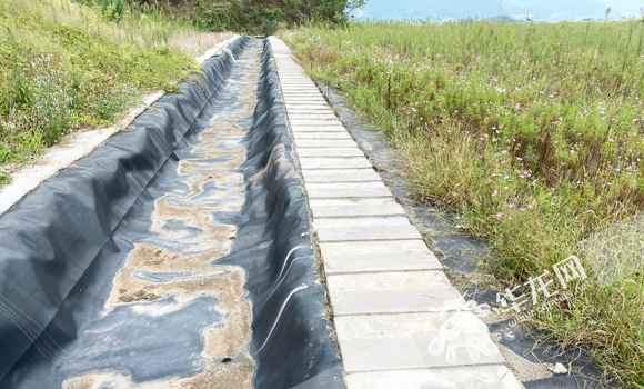 视频|一座“污染山”变身青草地 司法护航瑰丽长江垂青庆法院出招