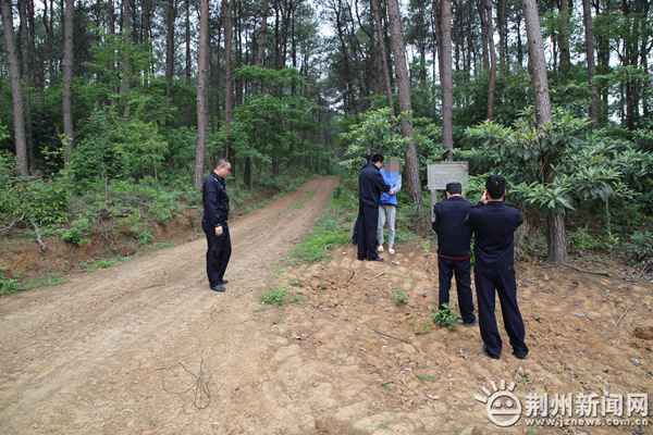 荆州区八岭山古墓群惊现“盗洞” 有人要盗墓！