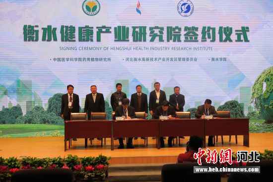 中国#8226;衡水2019京津冀“双协同”创新成长大会在衡水进行——中国新闻网河北