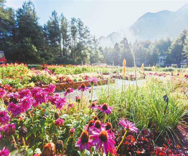 区县文旅佳构荟涪陵篇|赴江城之约 品神奇涪陵