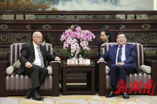 杜家毫接见德国驻华大使葛策