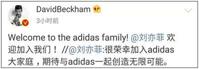 Adidas刚公布刘亦菲为新代言人 香港旗舰店就被砸了