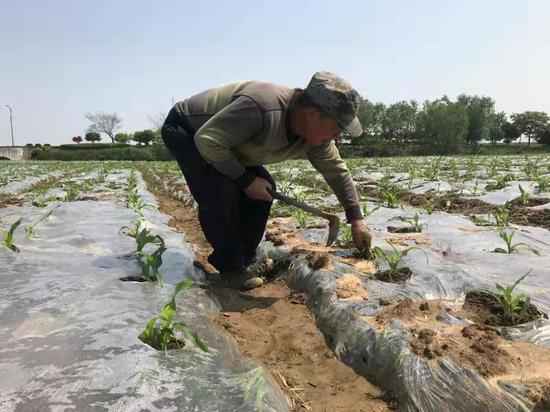 党群合作 浙江长兴联袂低收入户走在但愿郊野上