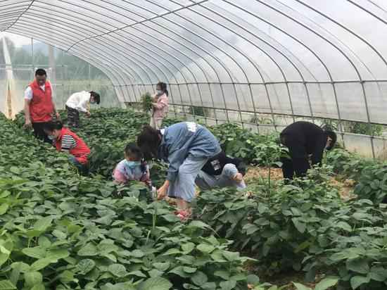 党群合作 浙江长兴联袂低收入户走在但愿郊野上