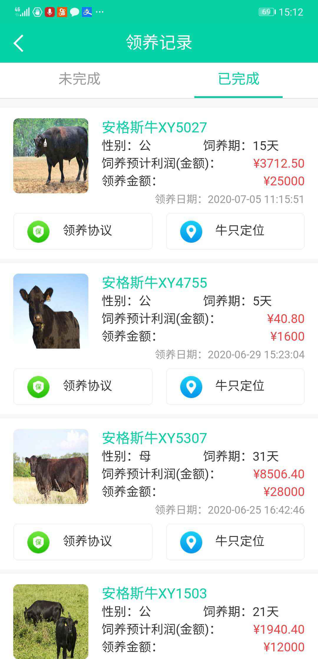 “云养牛”App骗局：多家公司信息疑被冒用，以不存在的牛骗钱